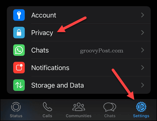 Open WhatsApp Privacy settings on iPhone